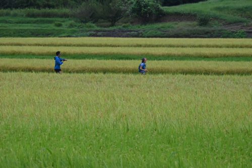 筑波連山天空ロード＆トレイルラン