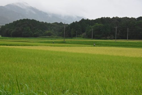 筑波連山天空ロード＆トレイルラン