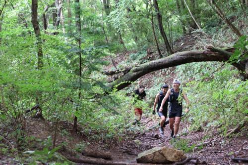 筑波連山天空ロード＆トレイルランinいしおか